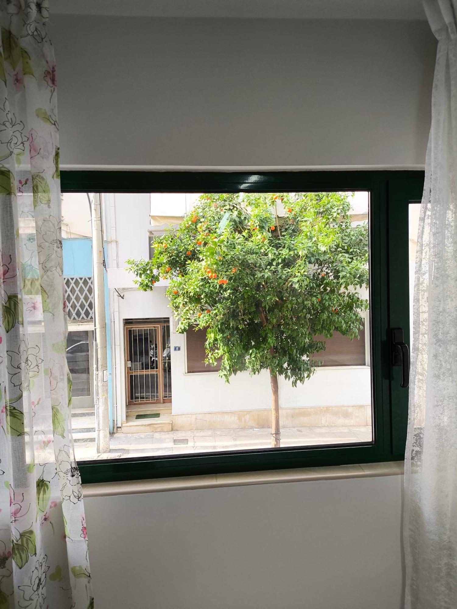 Green Home Athen Eksteriør bilde